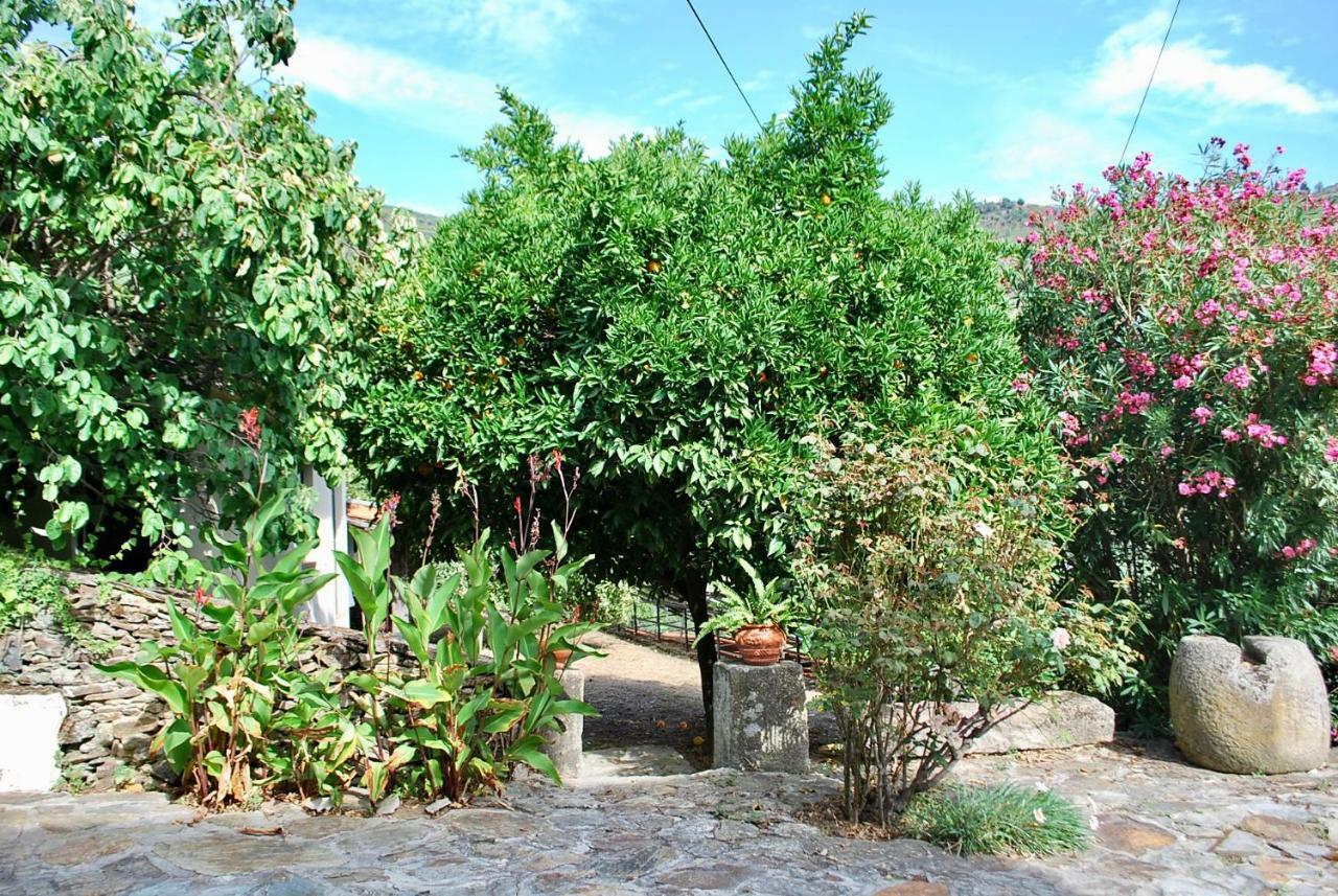 Villa Casa de Mendiz Vale de Mendiz Exterior foto